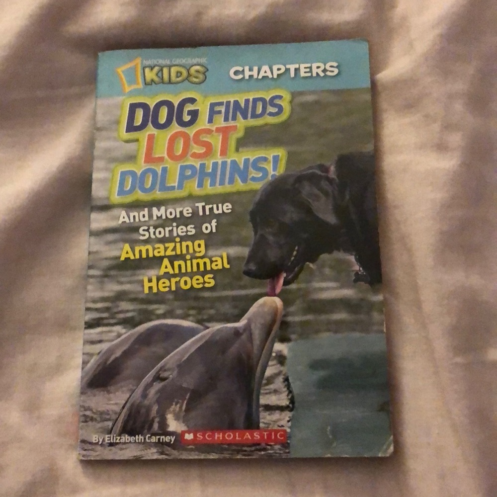 Dog Finds Lost Dolphin!